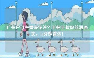 广州户口去香港免签？手把手教你丝滑通关，14分钟直达！