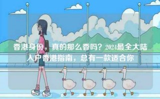 香港身份，真的那么香吗？2024最全大陆入户香港指南，总有一款适合你