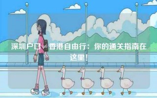 深圳户口≠香港自由行：你的通关指南在这里！