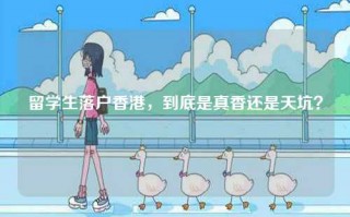 留学生落户香港，到底是真香还是天坑？