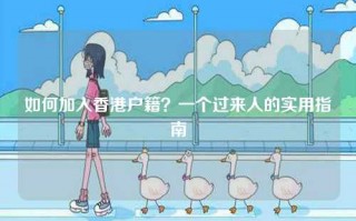 如何加入香港户籍？一个过来人的实用指南